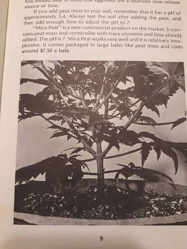 Authentic Genetics Seed Company - Page 24 - Overgrow.com