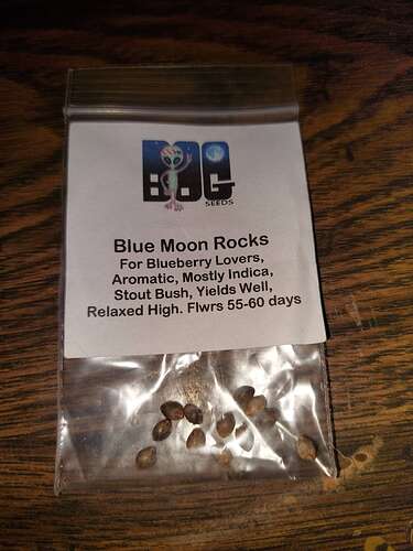 (complete) BOG Blue Moon Rocks repro growing under a Mars FC 8000 ...