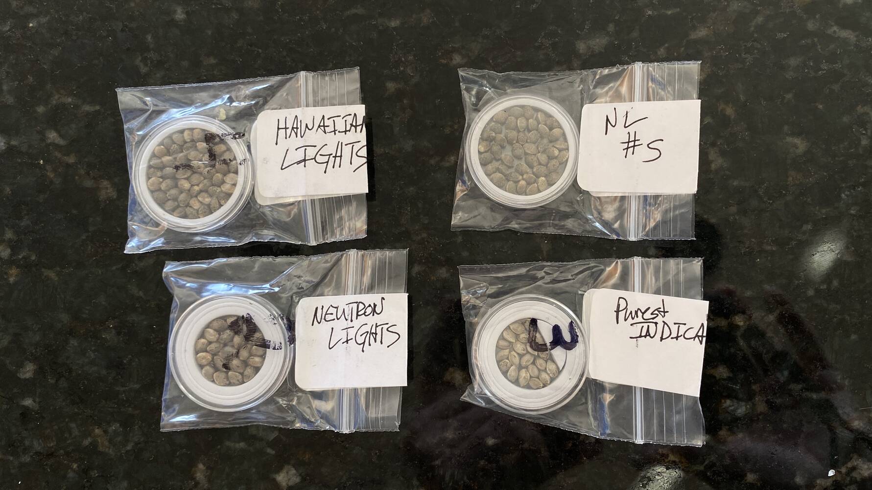 Authentic Genetics Seed Company - Page 2 - Overgrow.com