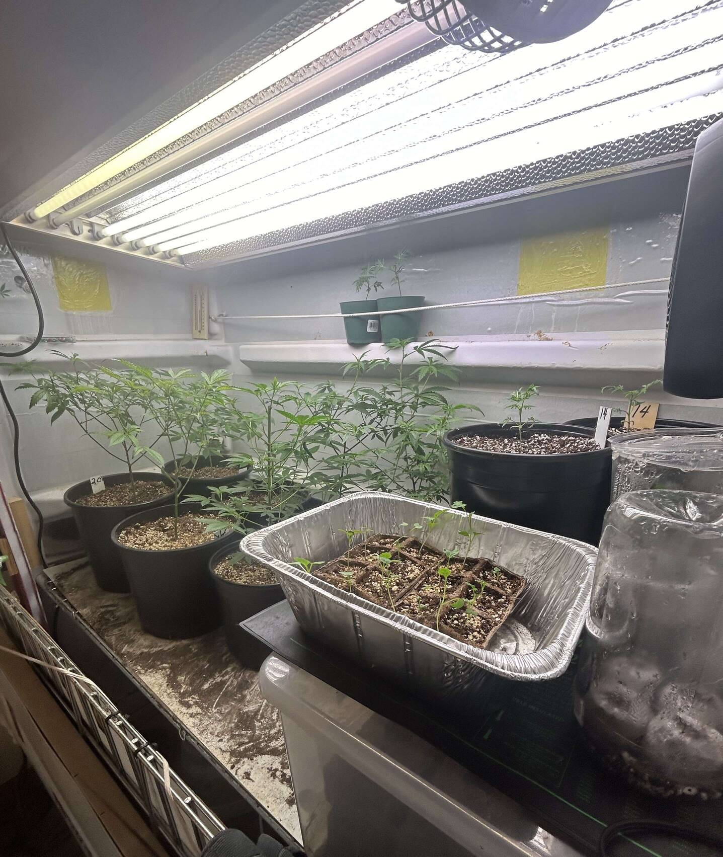 Flower’s Continuous Grow - Overgrow.com