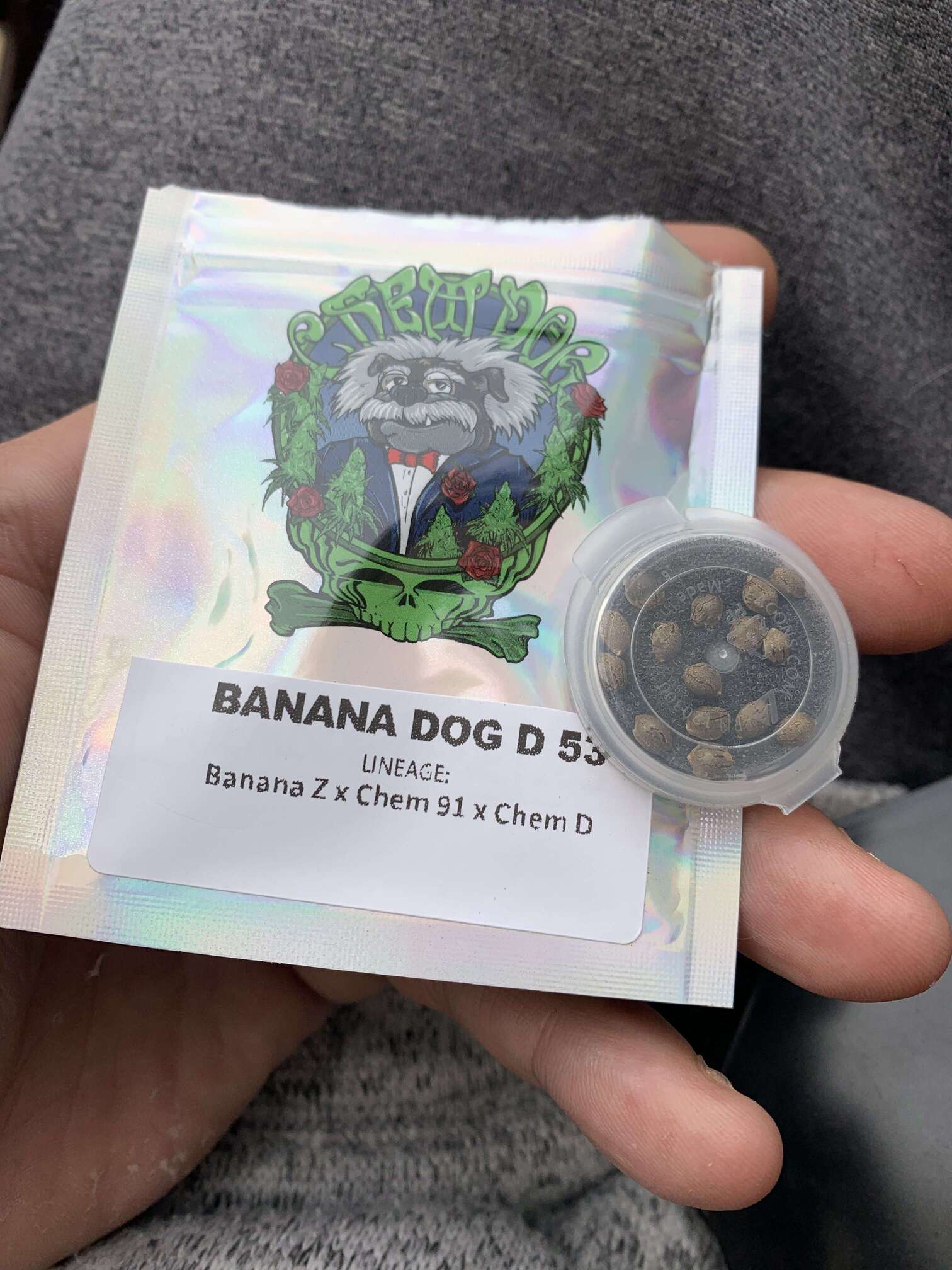 Banana Dog D 53 - - Overgrow.com