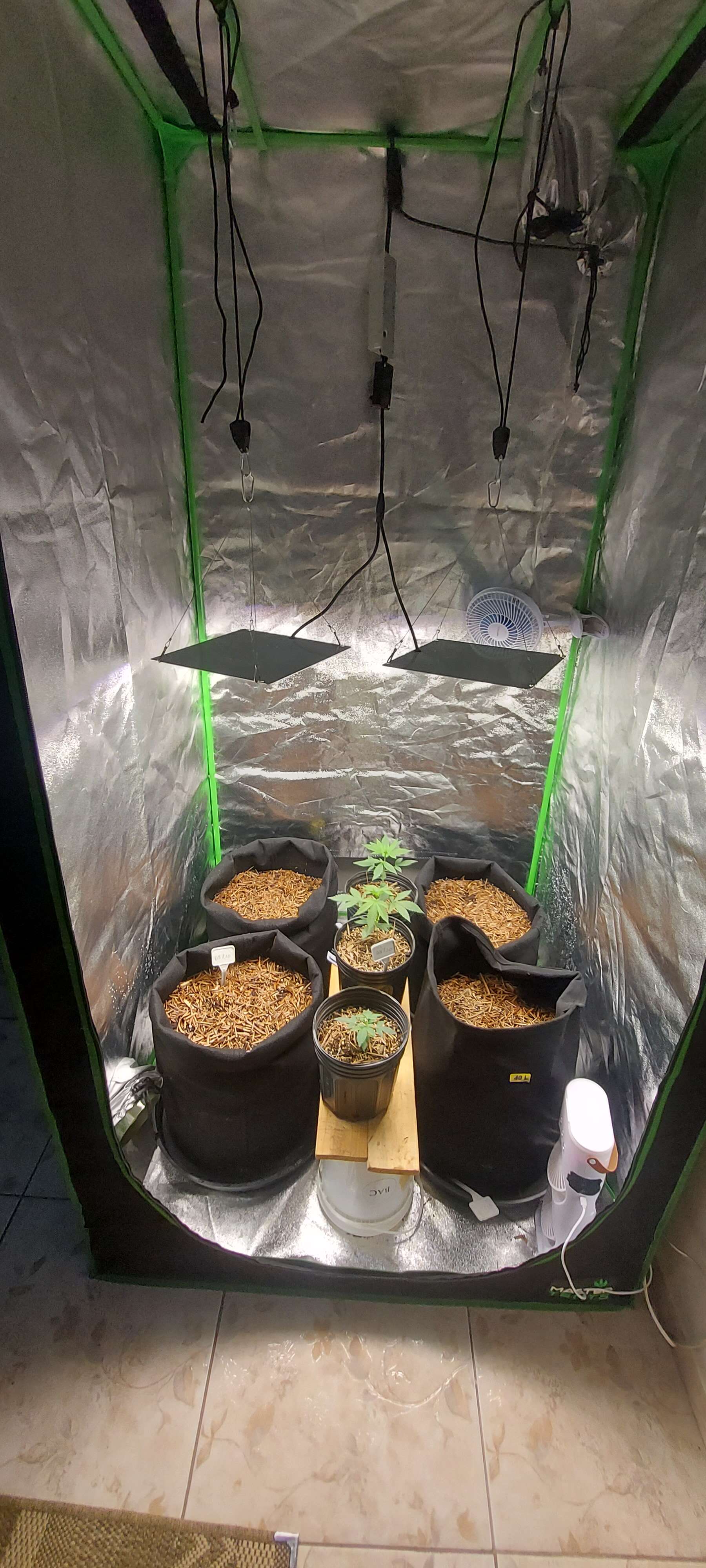 Calangrow's Notebook - Overgrow.com
