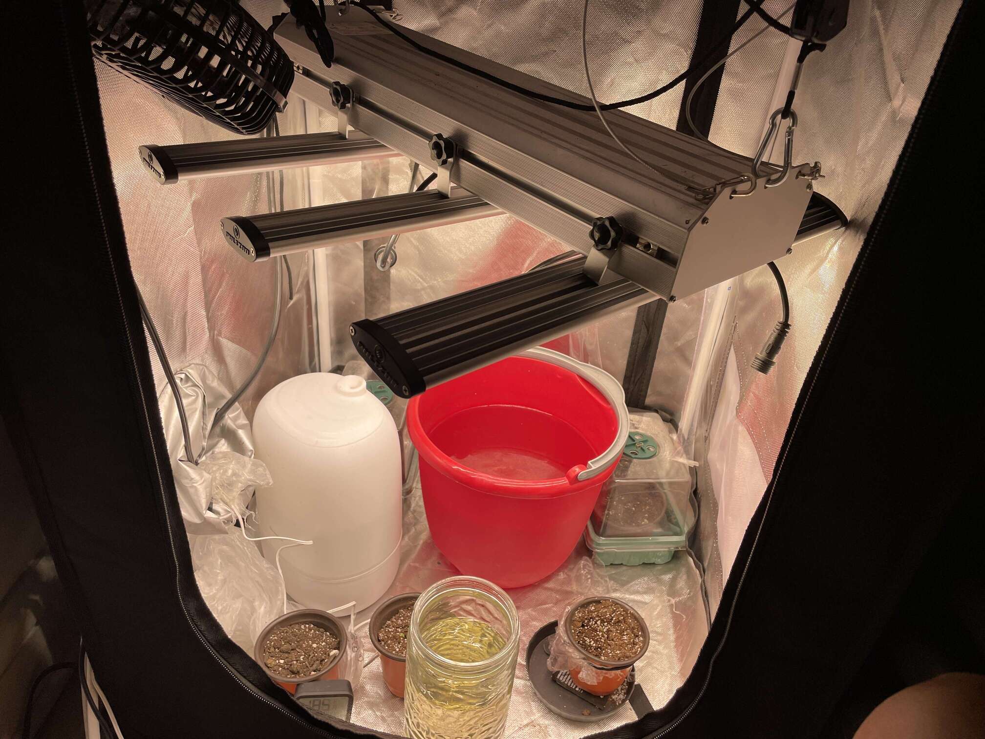 zelt klicksystem TentBox Lite XL Dachzelt Lithium Grease:Yes Van Stael Pletscher Peelinghandschuh aus Seide