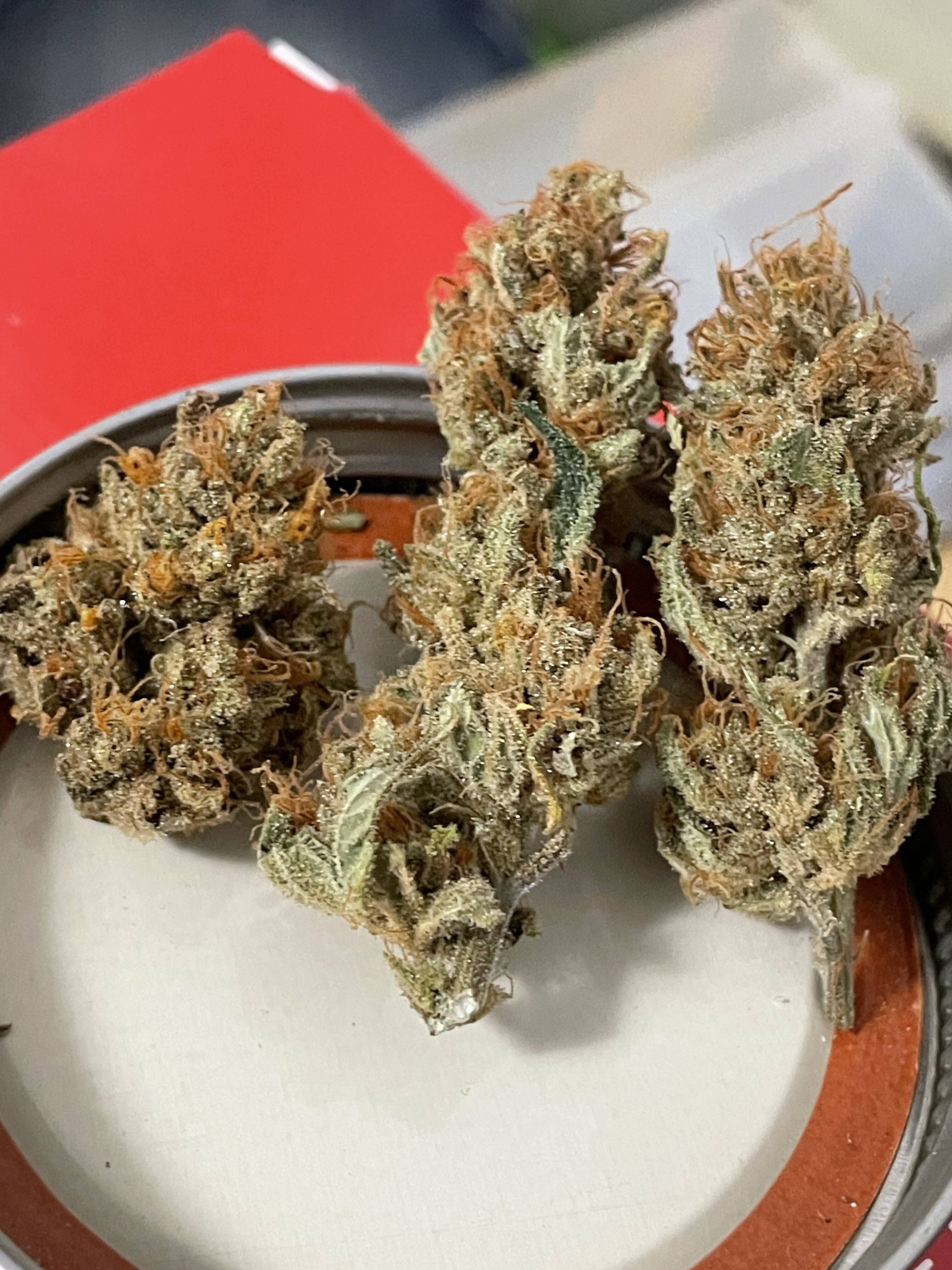 Good Medicine F2 flower, as labeled by the cited image source